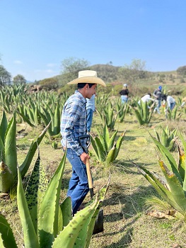 Servicios Ofrecidos 3