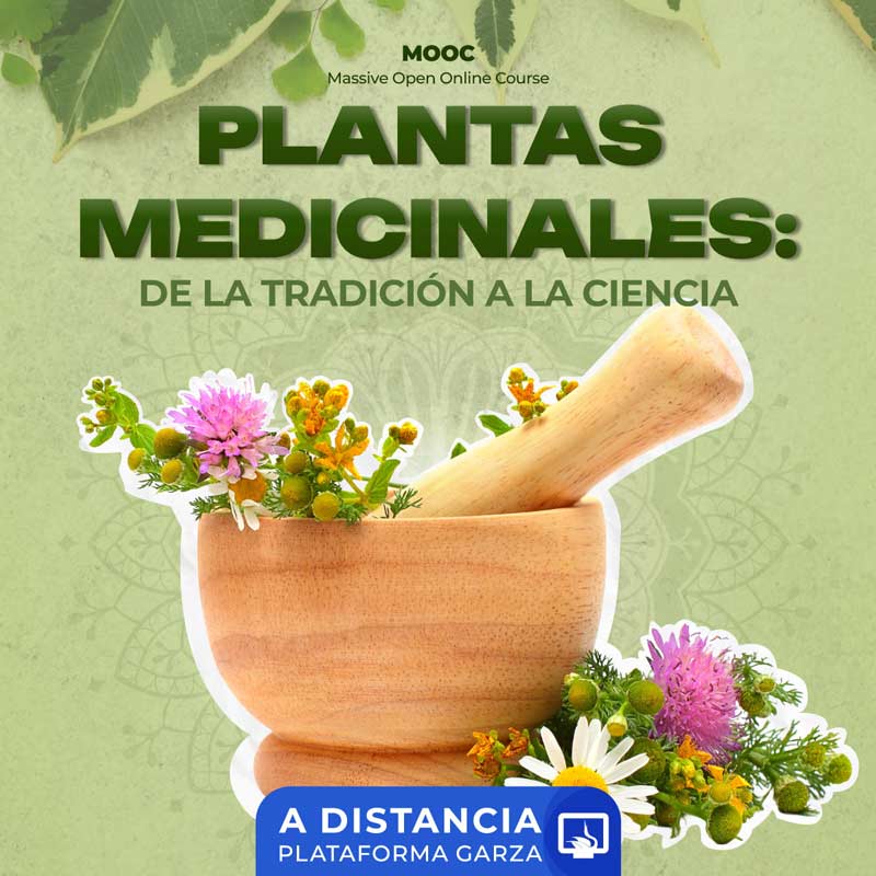 Las plantas medicinales tienen un conocimiento ancestral y terapéutico