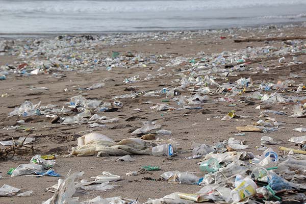 pandemia y sus efectos en el medio ambiente 2