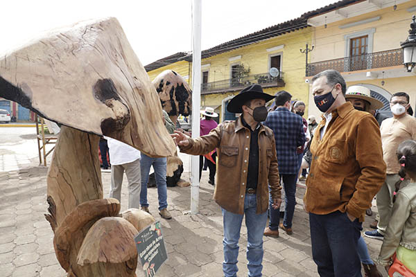 Festival del Hongo y la Manzana 4