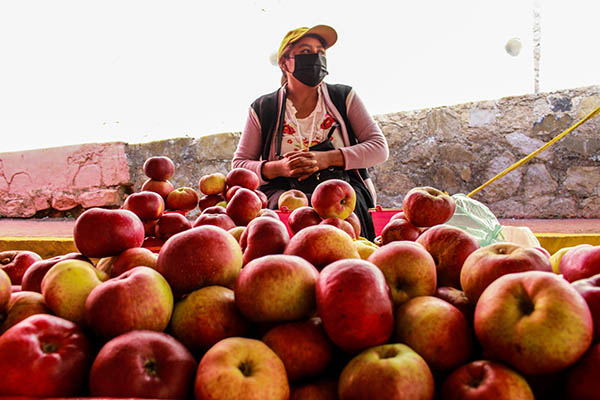 Festival del Hongo y la Manzana 5