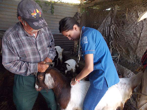 servicio social y prácticas profesionales 4