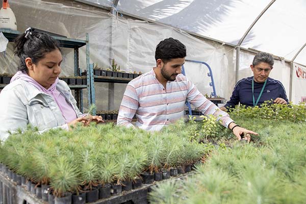 Carreras del Futuro en la UAEH 5