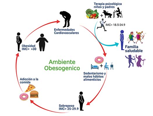 Sobrepeso y Salud 3