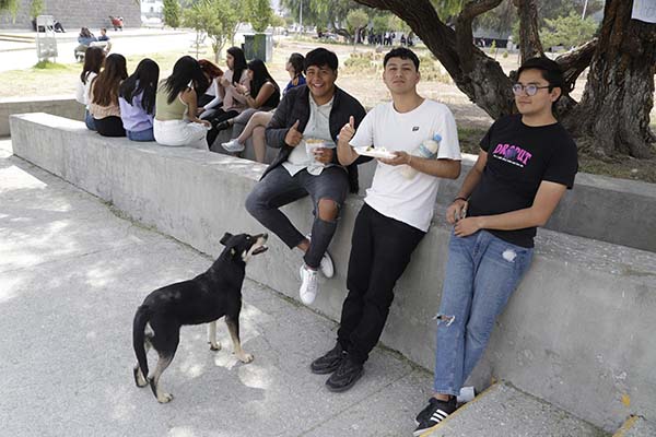 Animales y su invaluable ayuda en terapias psicológicas 5