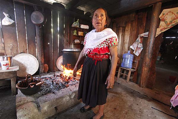 Recolección de hongos silvestres, una práctica ancestral 3