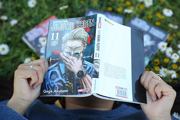 Anime y manga: recursos en el proceso de identificación 3