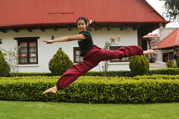 Garzas que danzan en un Laberinto en Movimiento 3