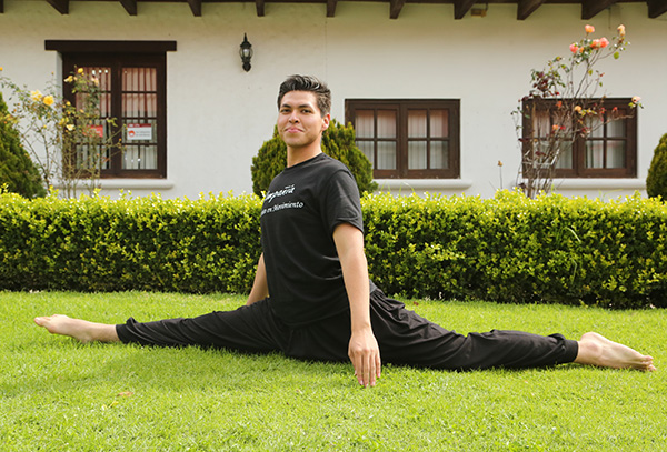 Garzas que danzan en un Laberinto en Movimiento 5