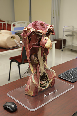 La dignidad que perdura: los derechos humanos después de la muerte 3