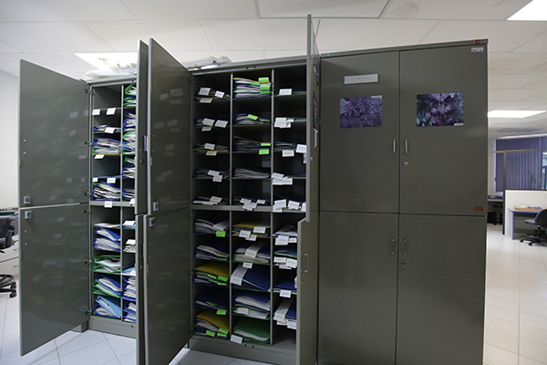 Herbarios, guardianes de la biodiversidad vegetal 5