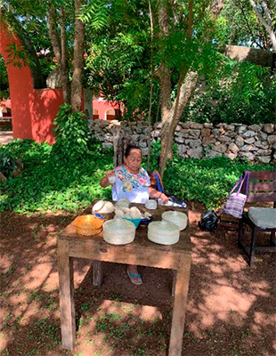 Henequén: fibra, historia y futuro sustentable para México 4-1