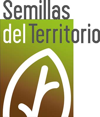 Entre árboles y neblina: la ciencia, tradición y vida que brotan de los hongos silvestres en Acaxochitlán, Hidalgo 5